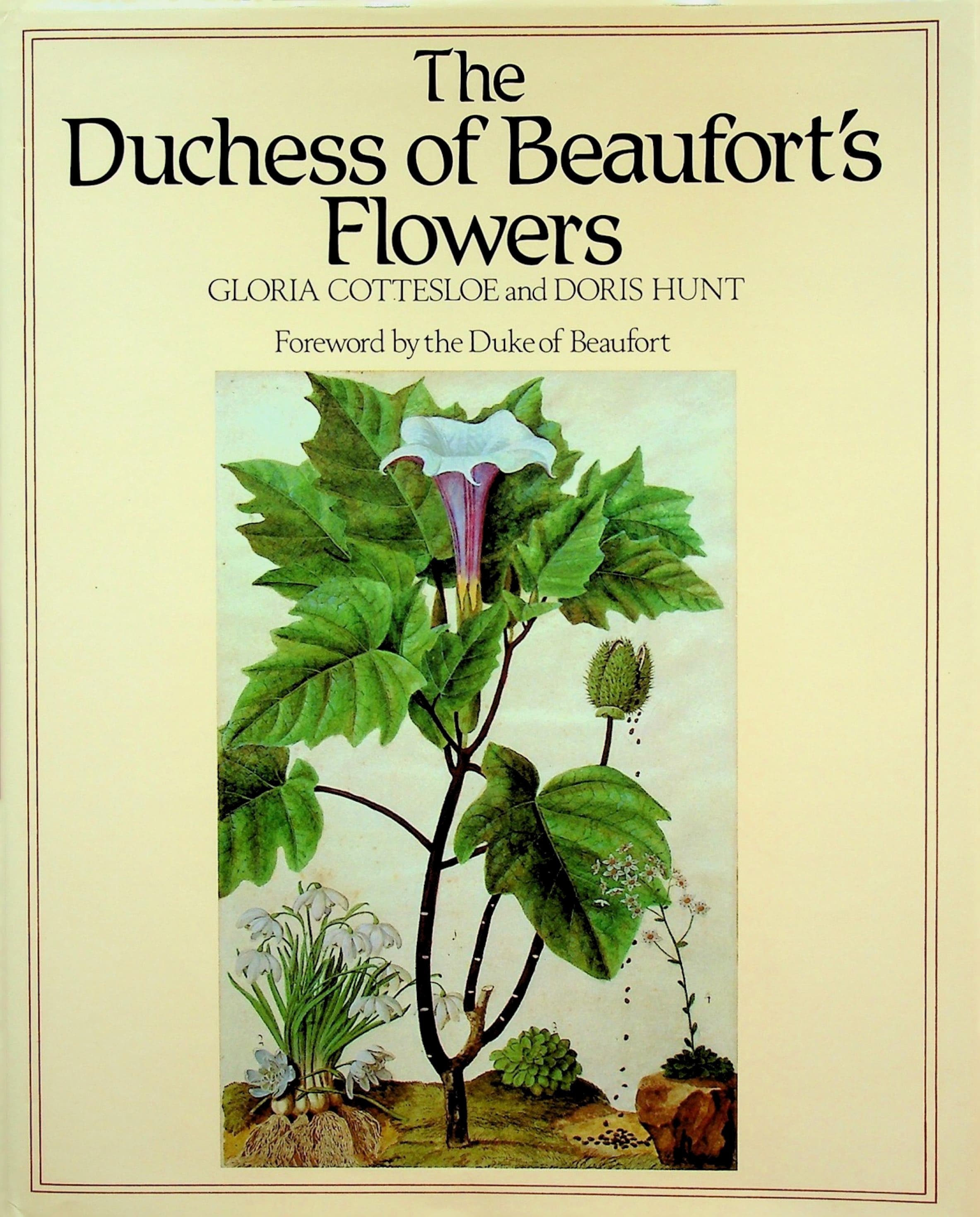 The Duchess of Beaufort's Flowers, photograph 1 of 12
