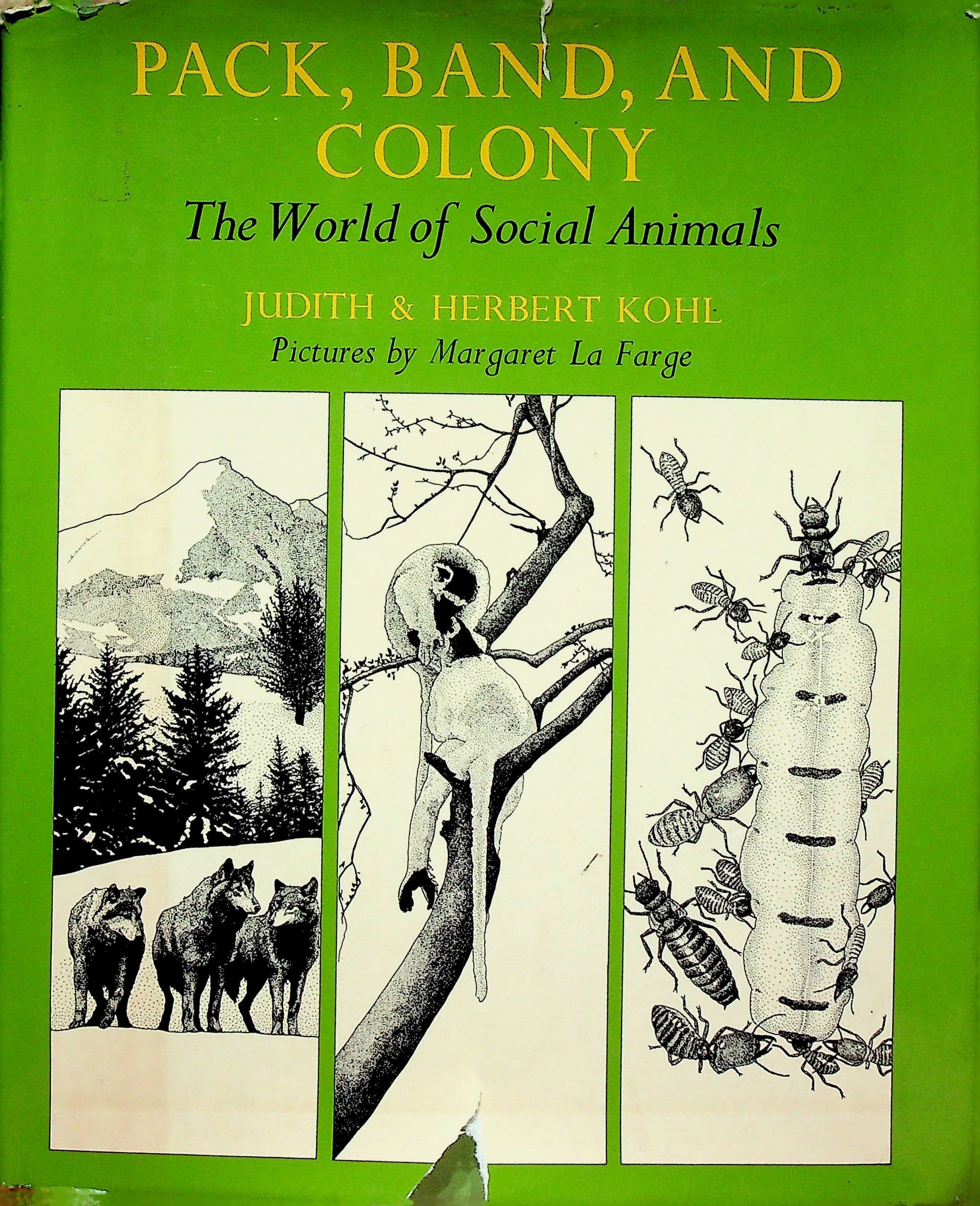 Pack, Band, and Colony: The World of Social Animals, photograph 1 of 12