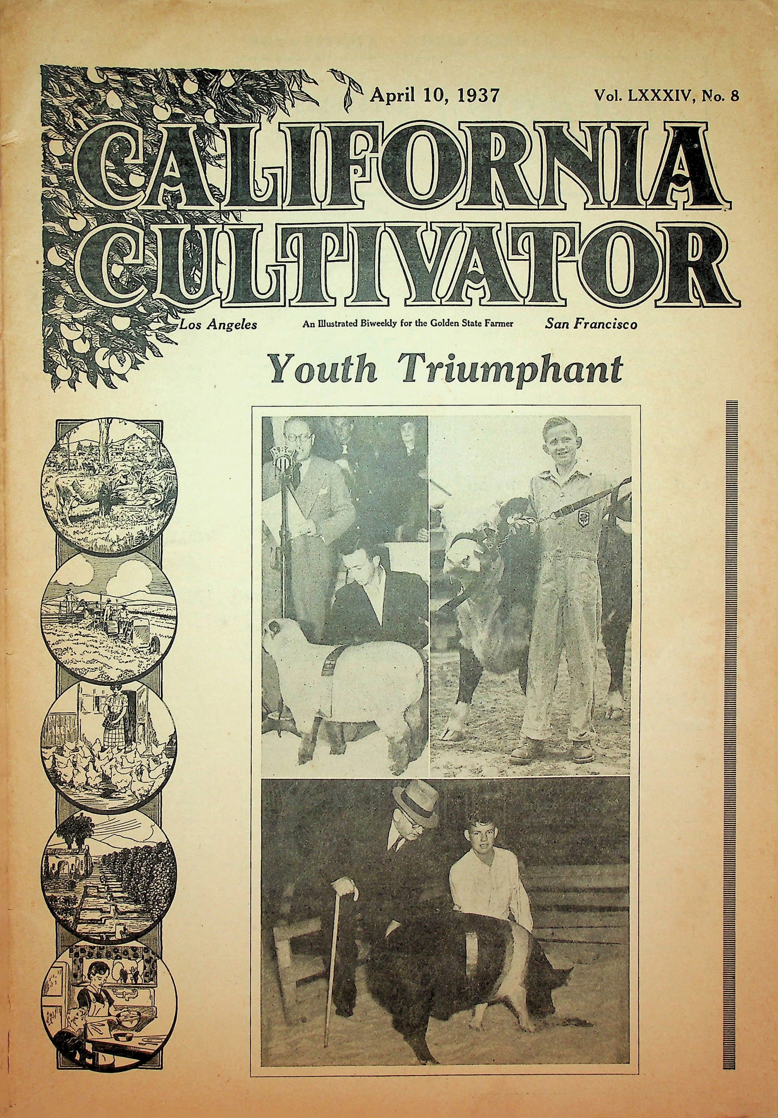 California Cultivator Vol. LXXXIV, No. 8, April 10, 1937 : "Youth Triumphant", photograph 1 of 14