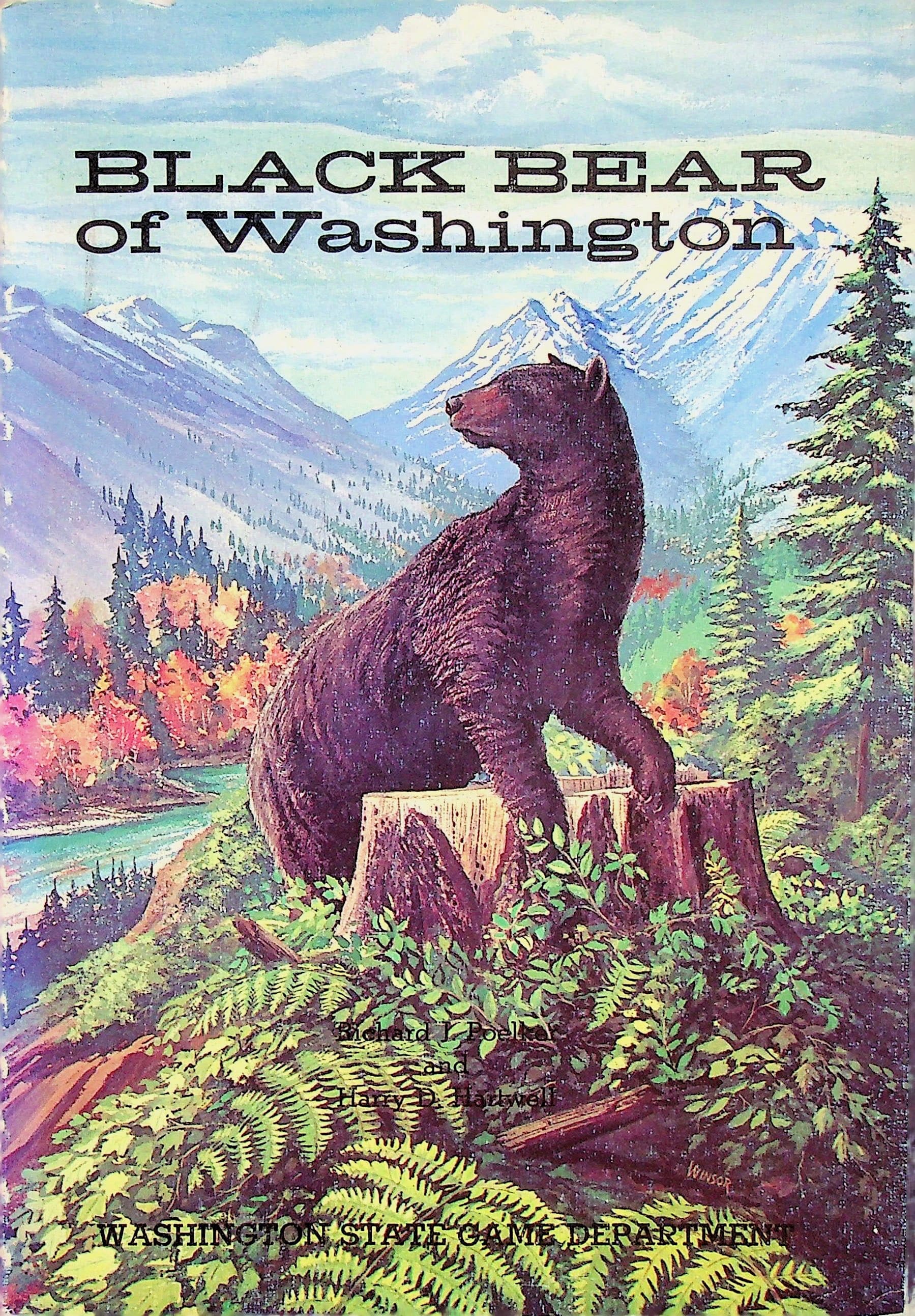Black Bear of Washington, photograph 1 of 14