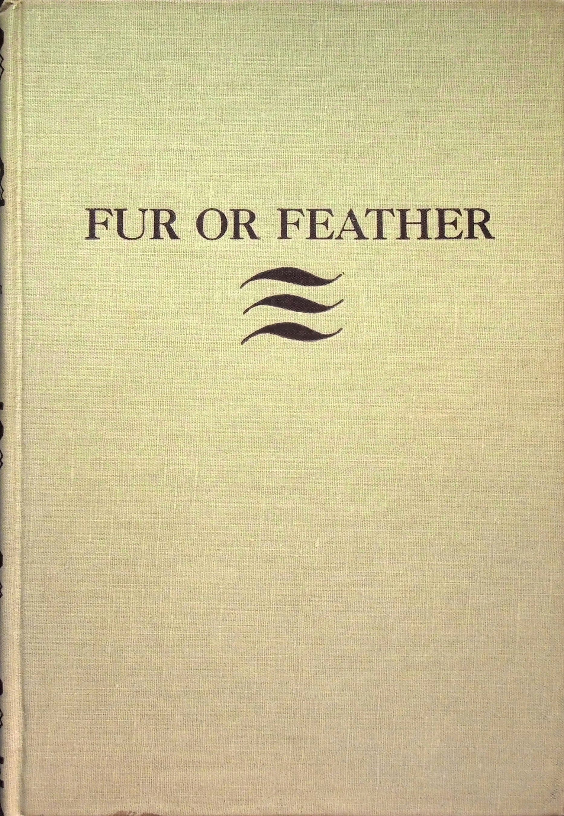 Fur or Feather: Days with Dog and Gun, photograph 1 of 20