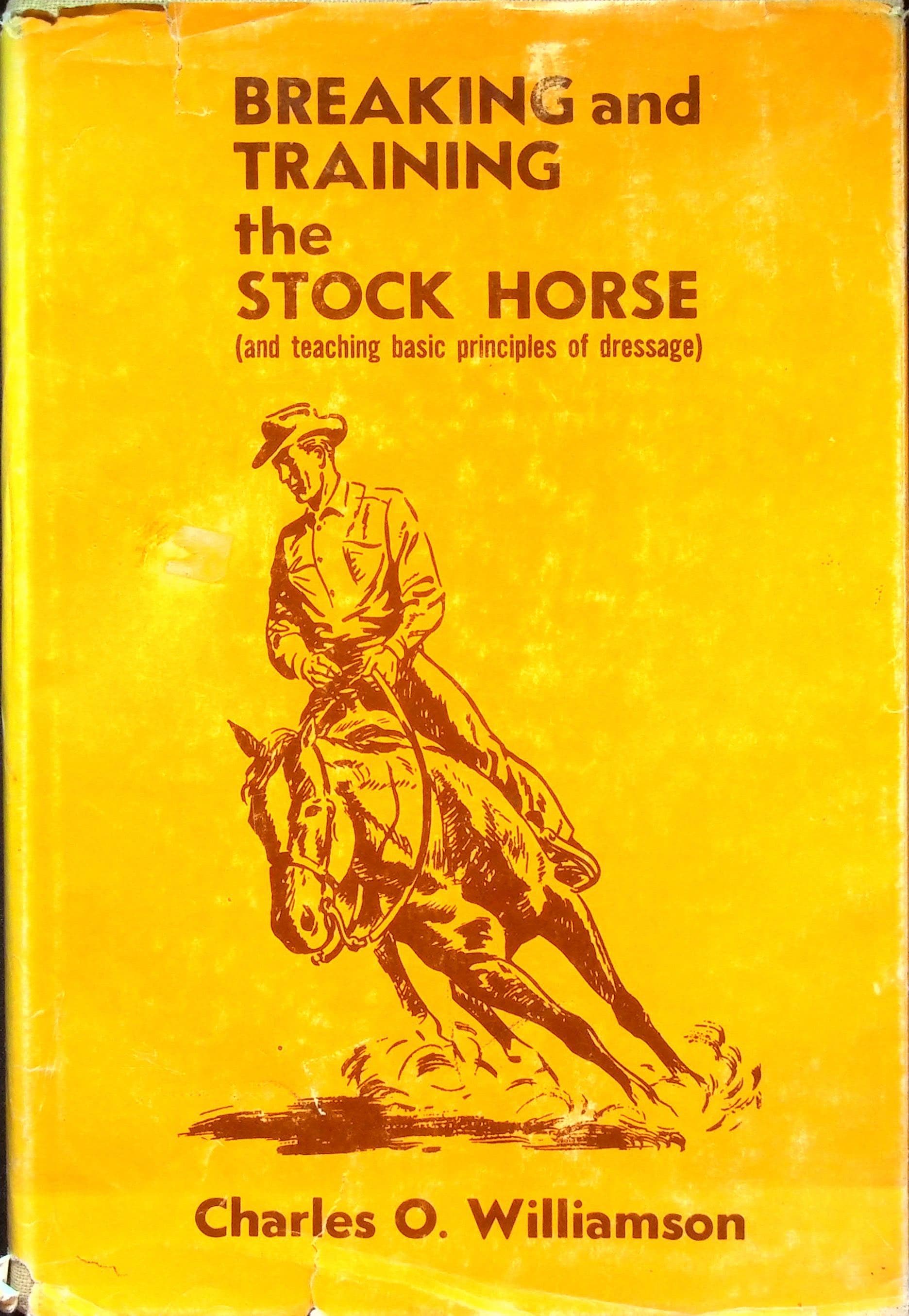 Breaking and Training the Stock Horse (and Teaching Basic Principles of Dressage), photograph 1 of 20