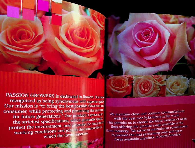 The Story of Passion Growers